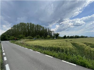 PUZ de Blocuri si Galerii comerciale in Sanandrei